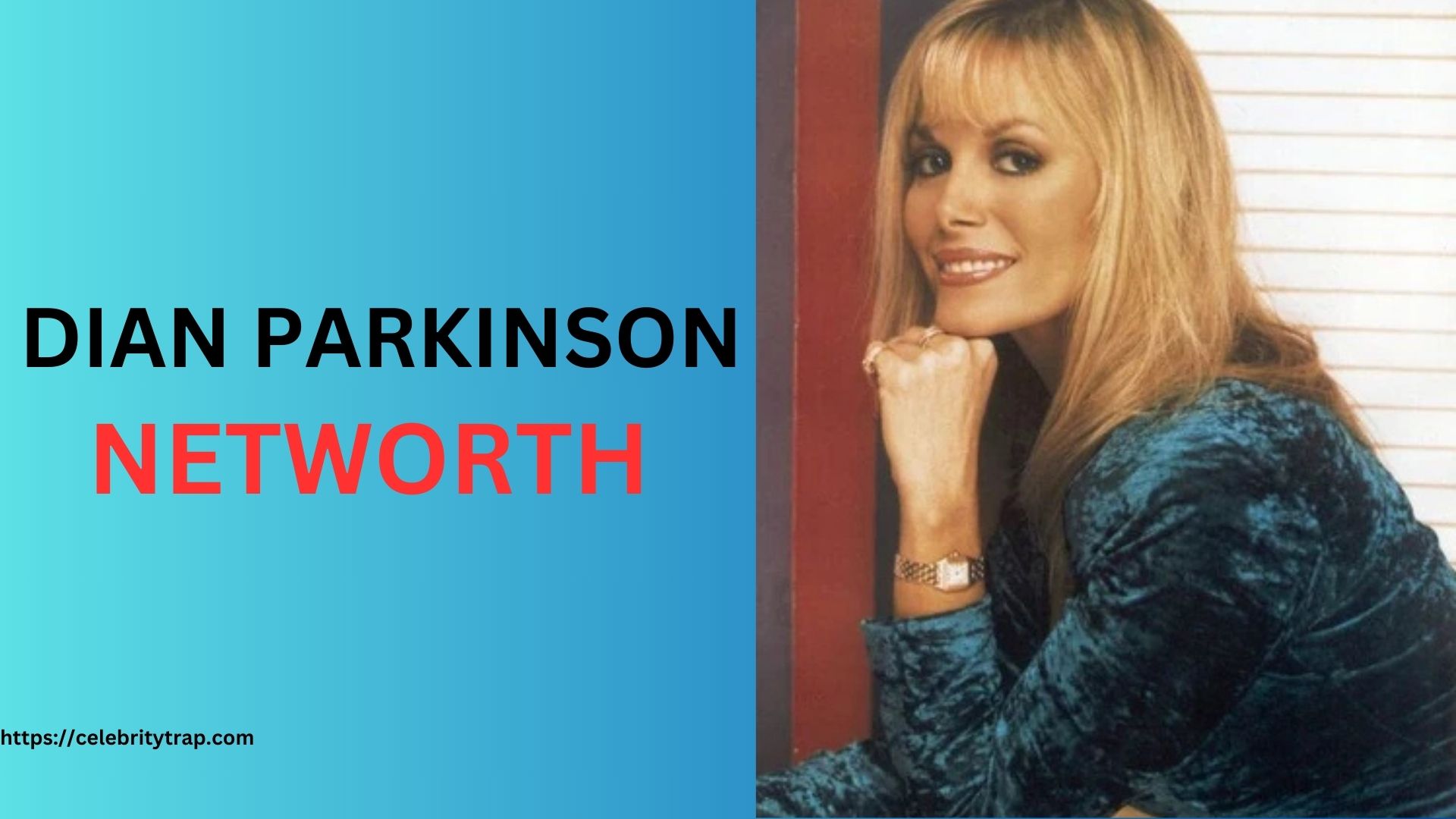 Dian Parkinson Net Worth: Bio, Age & Income (2024)