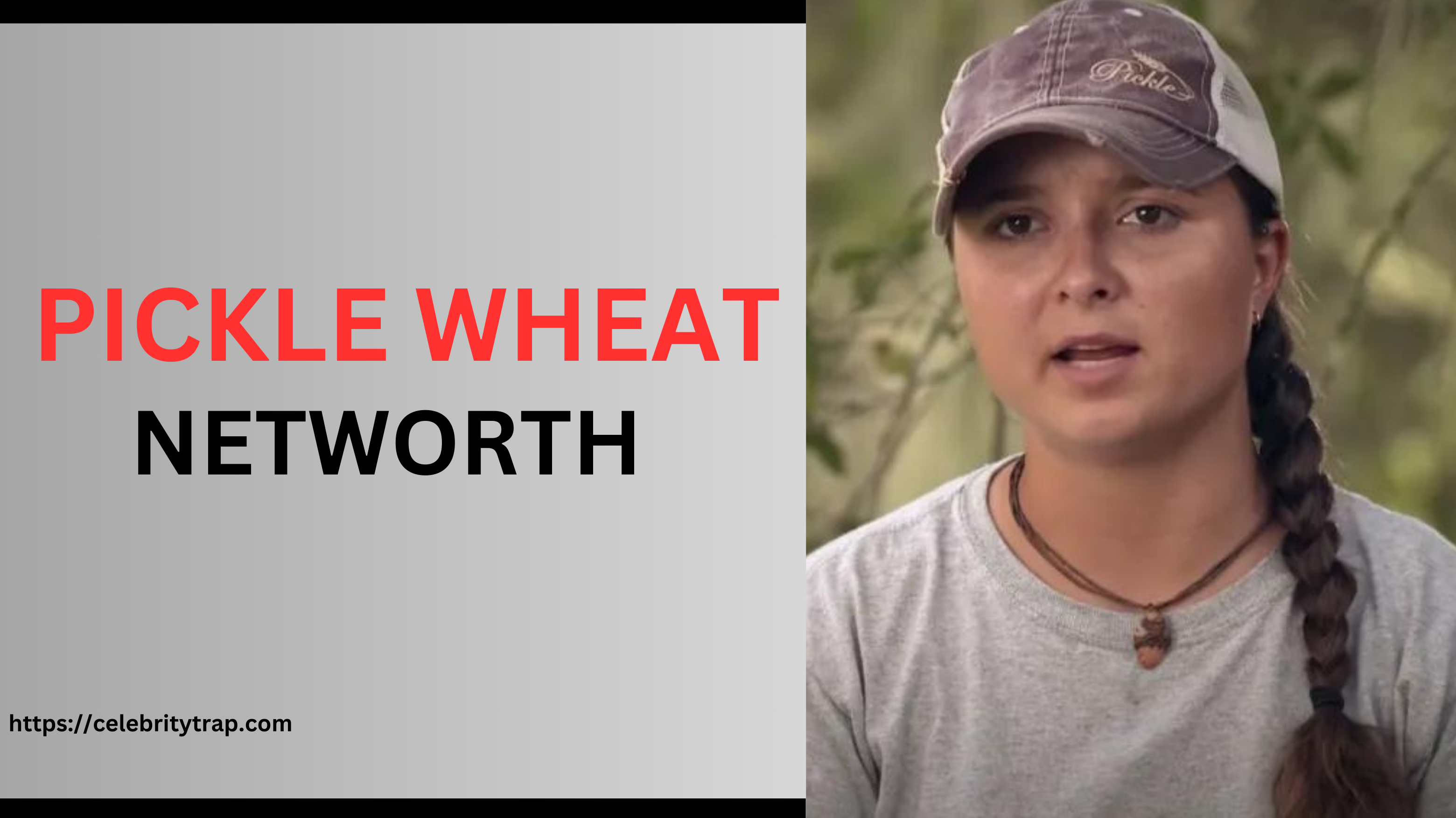 Pickle Wheat Net Worth