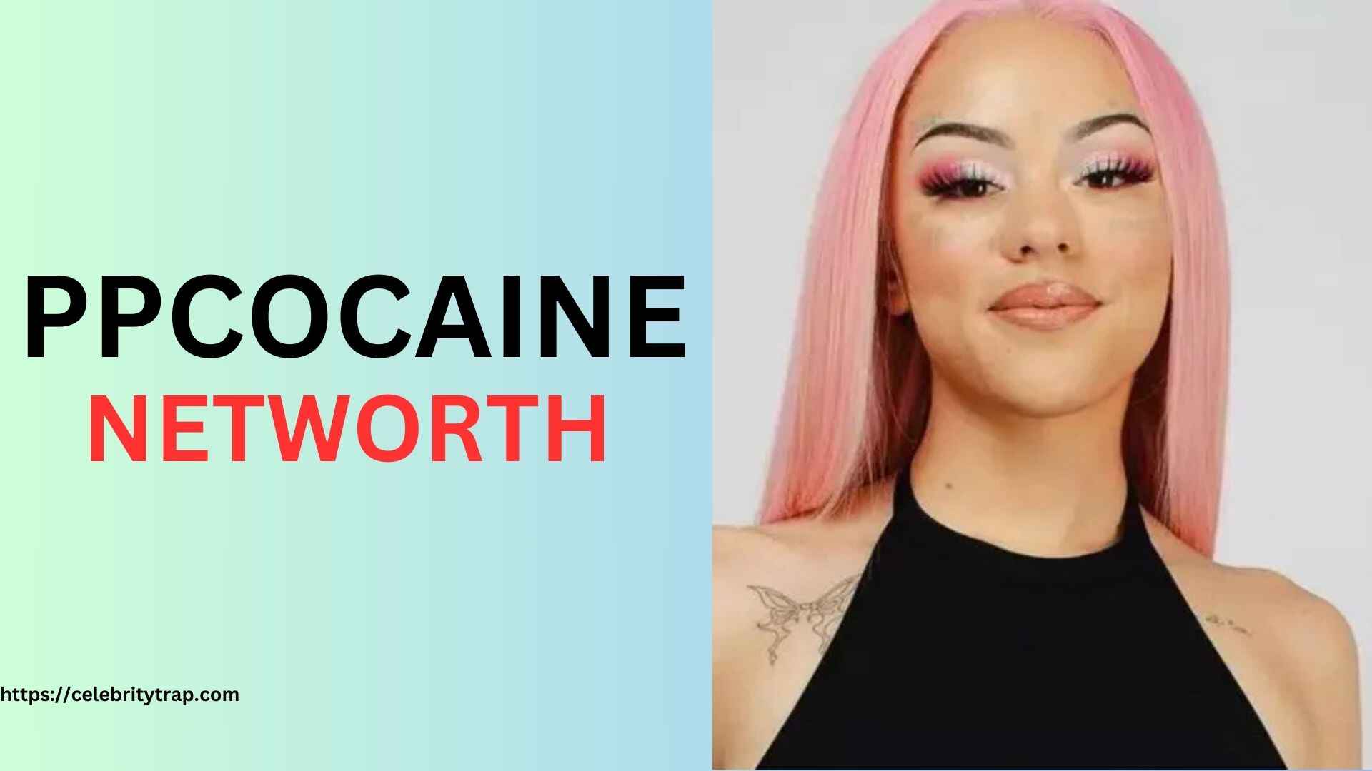 PPCocaine Net Worth