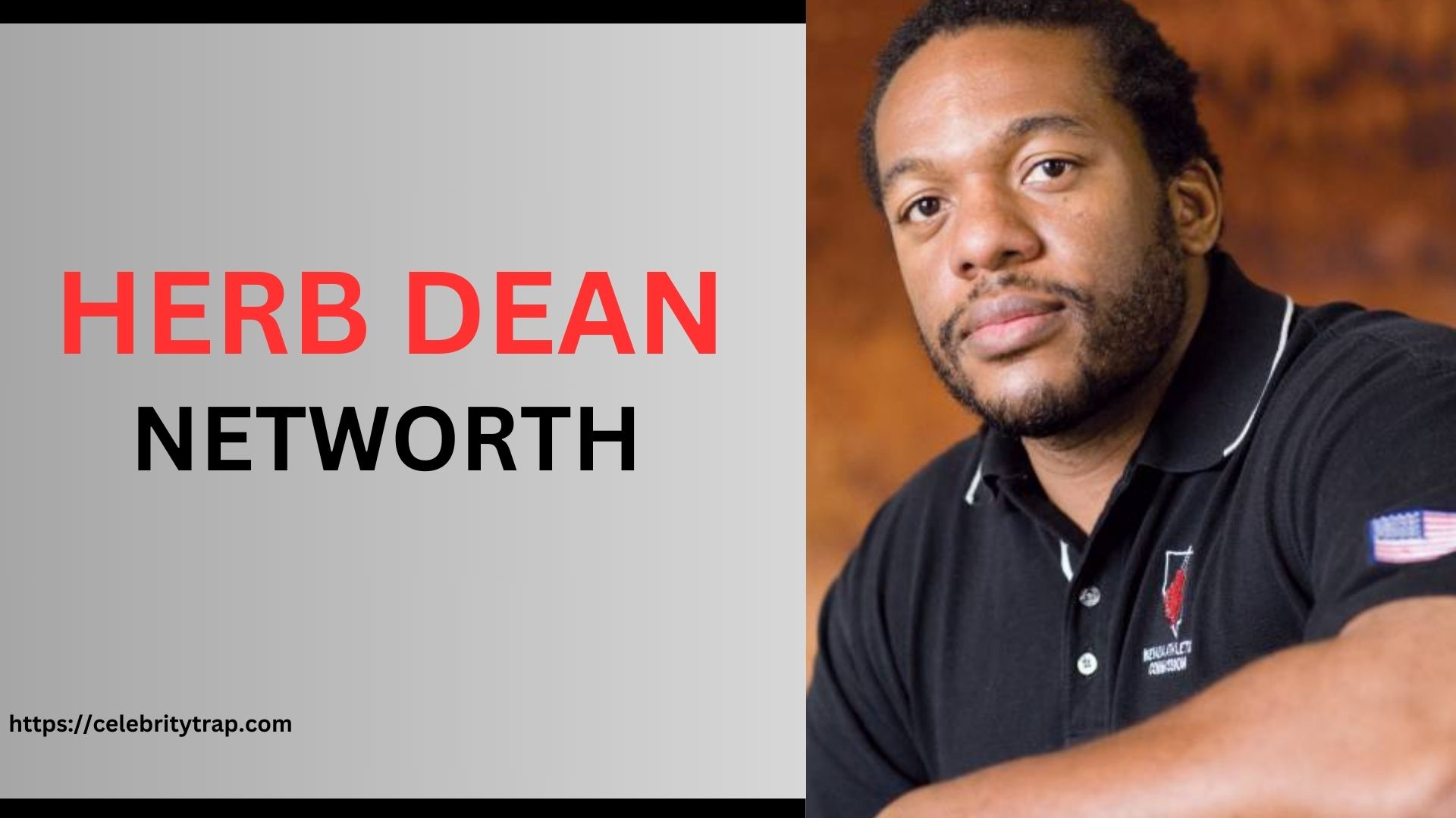 Herb Dean Net Worth: Source of Income & Biography (2024)